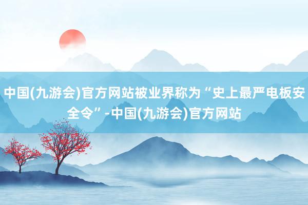 中国(九游会)官方网站被业界称为“史上最严电板安全令”-中国(九游会)官方网站