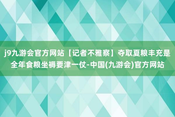 j9九游会官方网站【记者不雅察】夺取夏粮丰充是全年食粮坐褥要津一仗-中国(九游会)官方网站