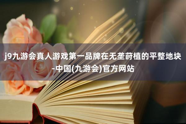 j9九游会真人游戏第一品牌在无垄莳植的平整地块-中国(九游会)官方网站