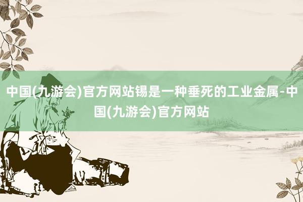 中国(九游会)官方网站锡是一种垂死的工业金属-中国(九游会)官方网站