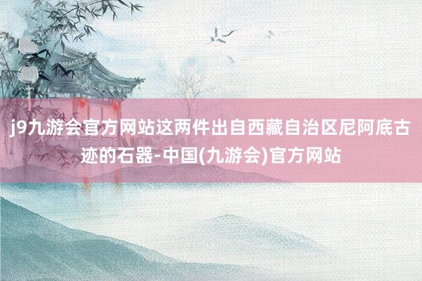 j9九游会官方网站这两件出自西藏自治区尼阿底古迹的石器-中国(九游会)官方网站