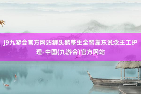 j9九游会官方网站狮头鹅孳生全皆靠东说念主工护理-中国(九游会)官方网站